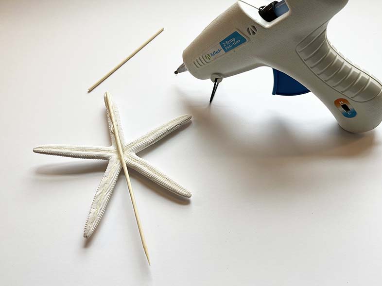 Instructional photo of skewer glued to a dried starfish.