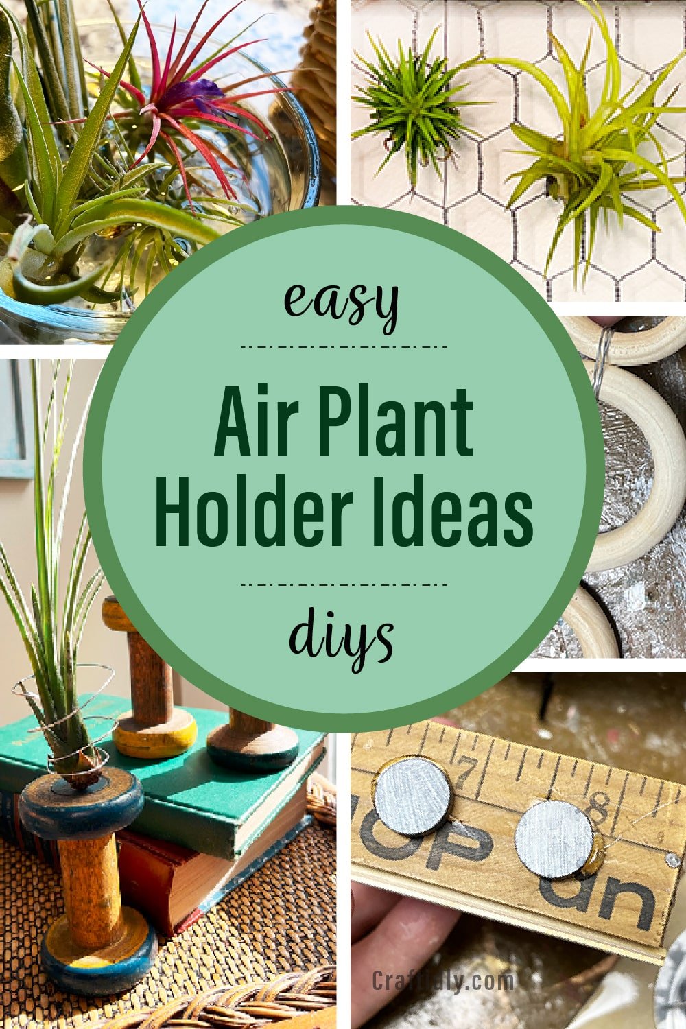 4 DIY Air Plant Holders to Beautify Your Home