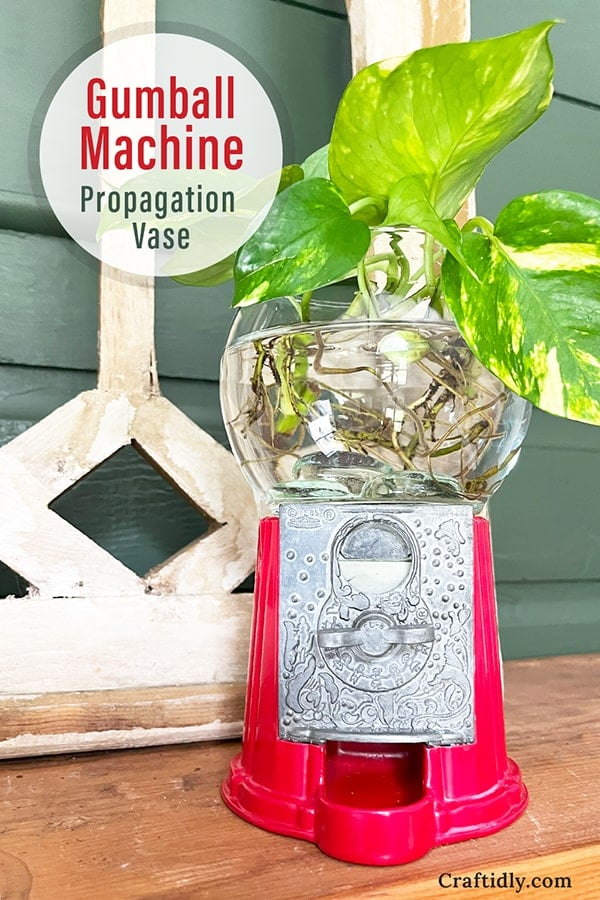 Vertical photo of a finished gumball machine turned plant propagation vase. The vase has a leafy house plant hanging out of the top of a bubble vase that is sitting on an old-fashioned red gumball machine base. Pin this image to your Pinterest board to come back to this DIY later!