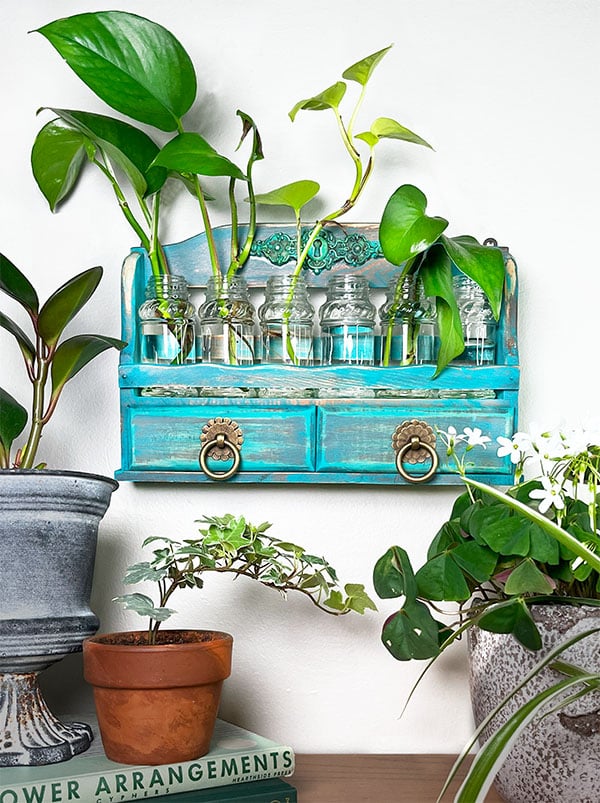A vintage spice rack from the thrift store painted aqua blue and holds six vintage spice jars with plant cuttings hanging on a wall. The spice rack has been updated with brass pull on the two drawers and a pretty key like embellishment at the top.