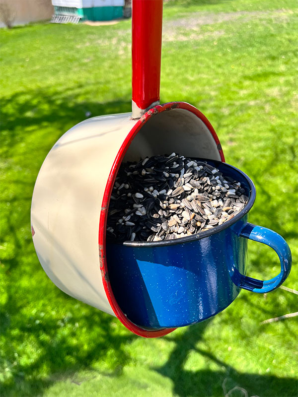 Shown is a vintage enamel pan in red and white hanging by it's handle from a tree with a large blue enamel cup with the handle facing out glued to the inside rim of the pan, filled with bird seed. The handle faces out on the cup for birds to perch on.