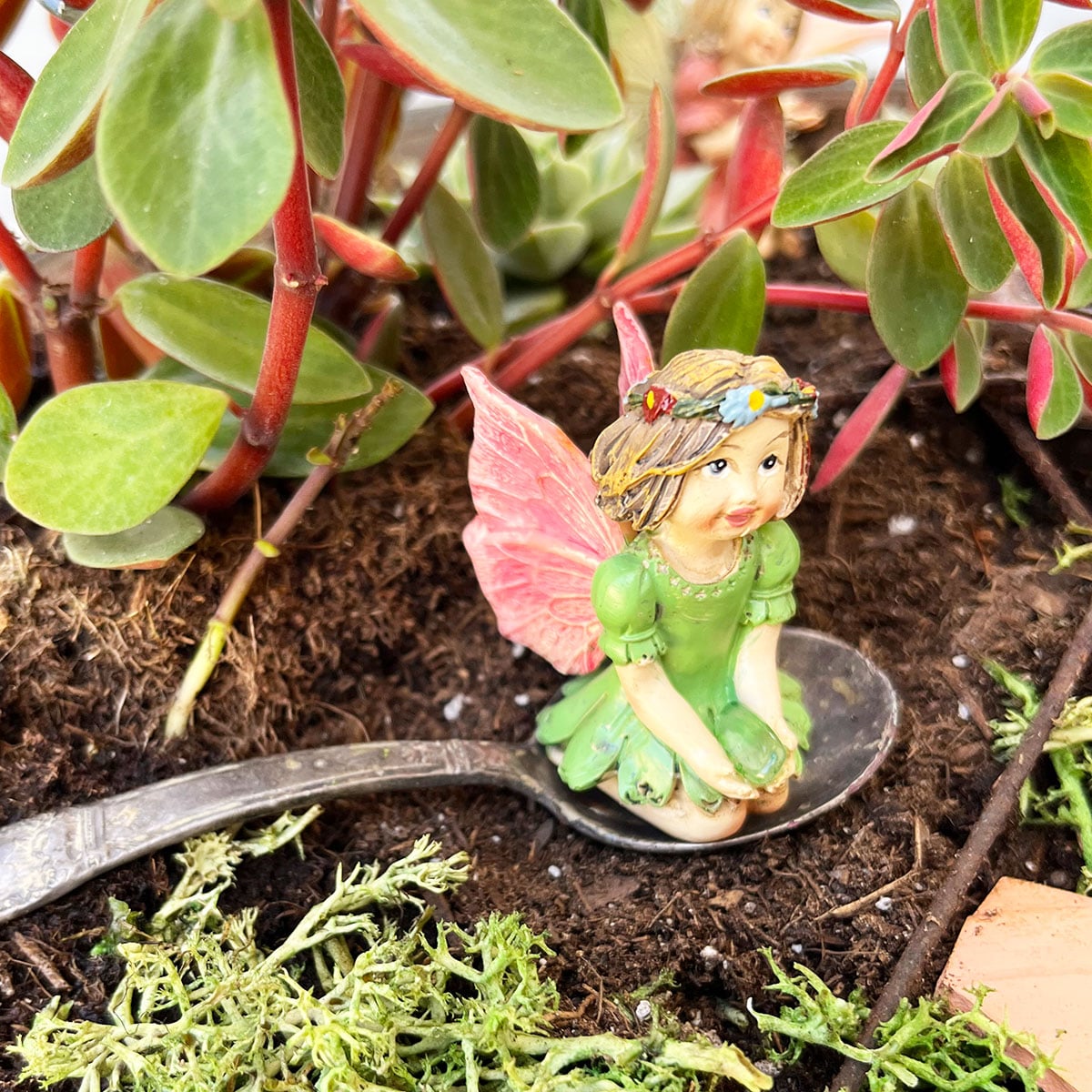 Shown the feature image for a fairy garden post that contains 10 different fairy gardens along with ideas for best plants and containers to use. Shown here is a miniature fairy girl with flowers in her hair kneeling in a gree dress. She is on a vintage baby spoon with red and green foliage in the background and a hint of moss to the side.