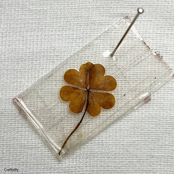 Closeup of a lucky clover pinned to a white linen board. The lucky clover is brown and has been set between two pieces of clear tape. A little keepsake of luck from my drawer.