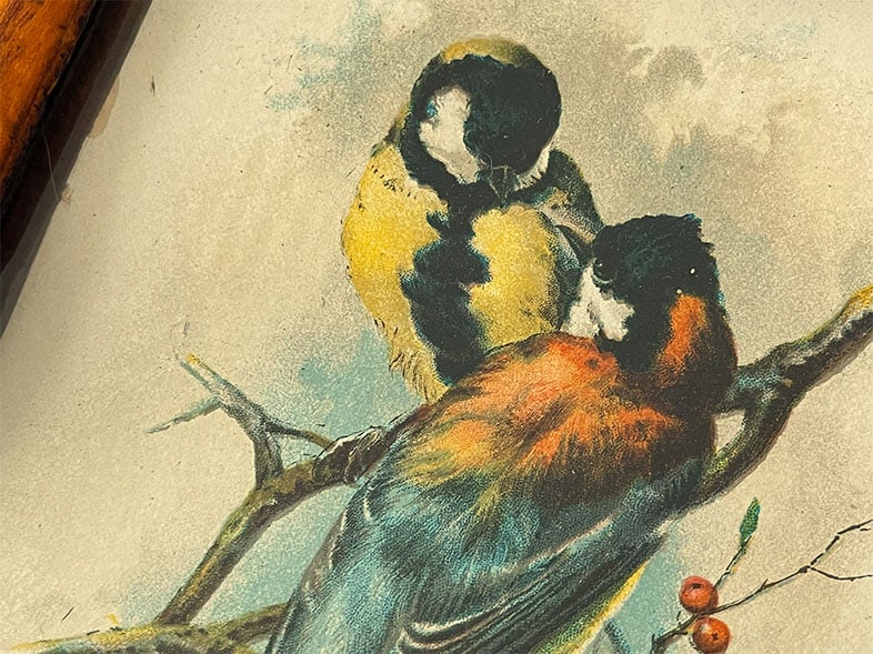 Closeup of two birds, they are vintage chromolithographs with soft color graduations in how the oranges and yellows blend into the blues and greens. This was achieved by layering different colored stones (litho stones) during the printing process. The rich thick hand-hune wood frame compliments the amber tones of the birds and tree branch floral. This was an amazing thrift store find and one of a pair of framed prints.