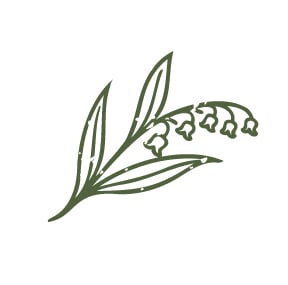 Lilly of the valley line art illuatration in olive green and accent for the Spring Collected blog post.