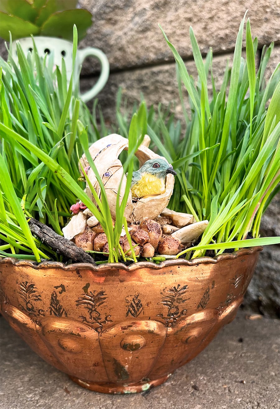 Wheat grass in a copper fluted deep dish serving as a fairy garden vessel with delecate etching and a miniature resin piece with blue bird sitting in a broken jug.