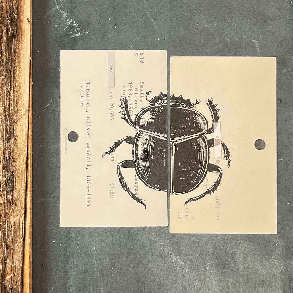 Beetle in black ink printed one half on a vintage catalog card and the other half on a second vintage card catalog card photographed on slate board.