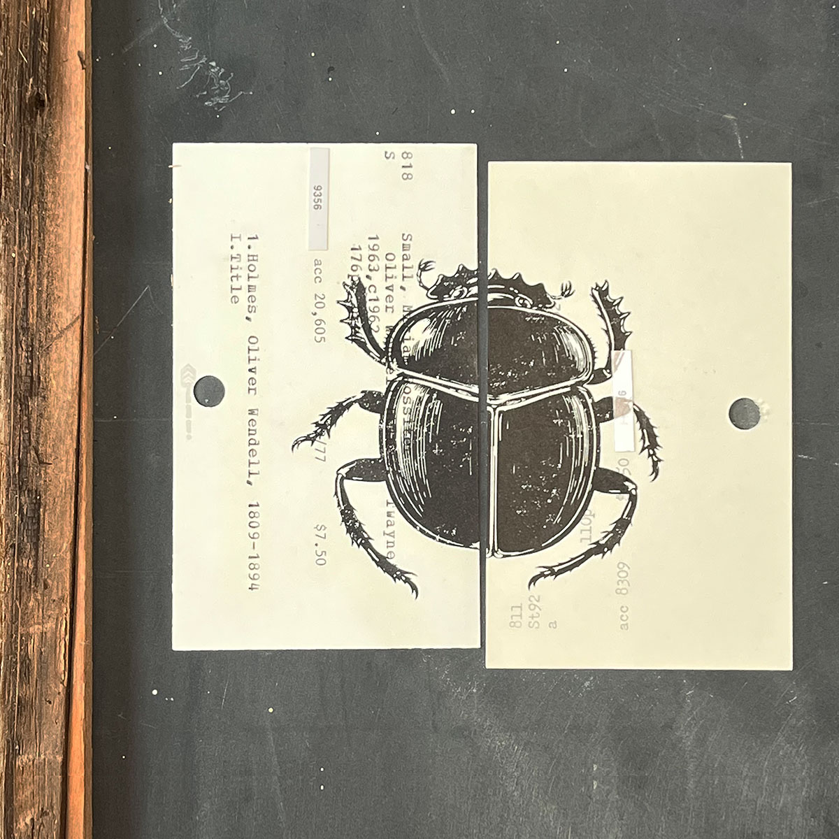 Beetle in black ink printed one half on a vintage catalog card and the other half on a second vintage card catalog card photographed on slate board.
