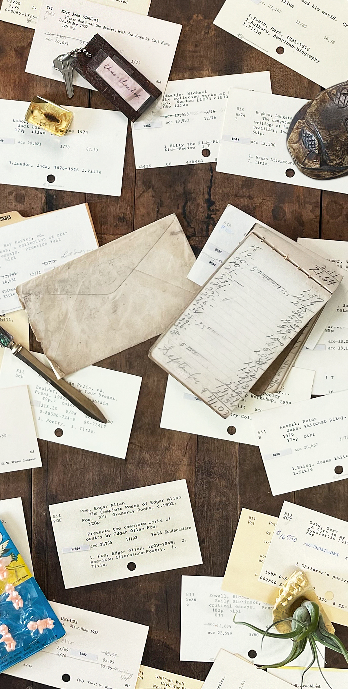 Vintage library card catalog cards scattered across a warm wood surface with a carved scarab paperweight, small key tag, aged envelope and paper knife, handwritten ledger page, amber-encased scorpion, and an air plant set in a tooth mold.