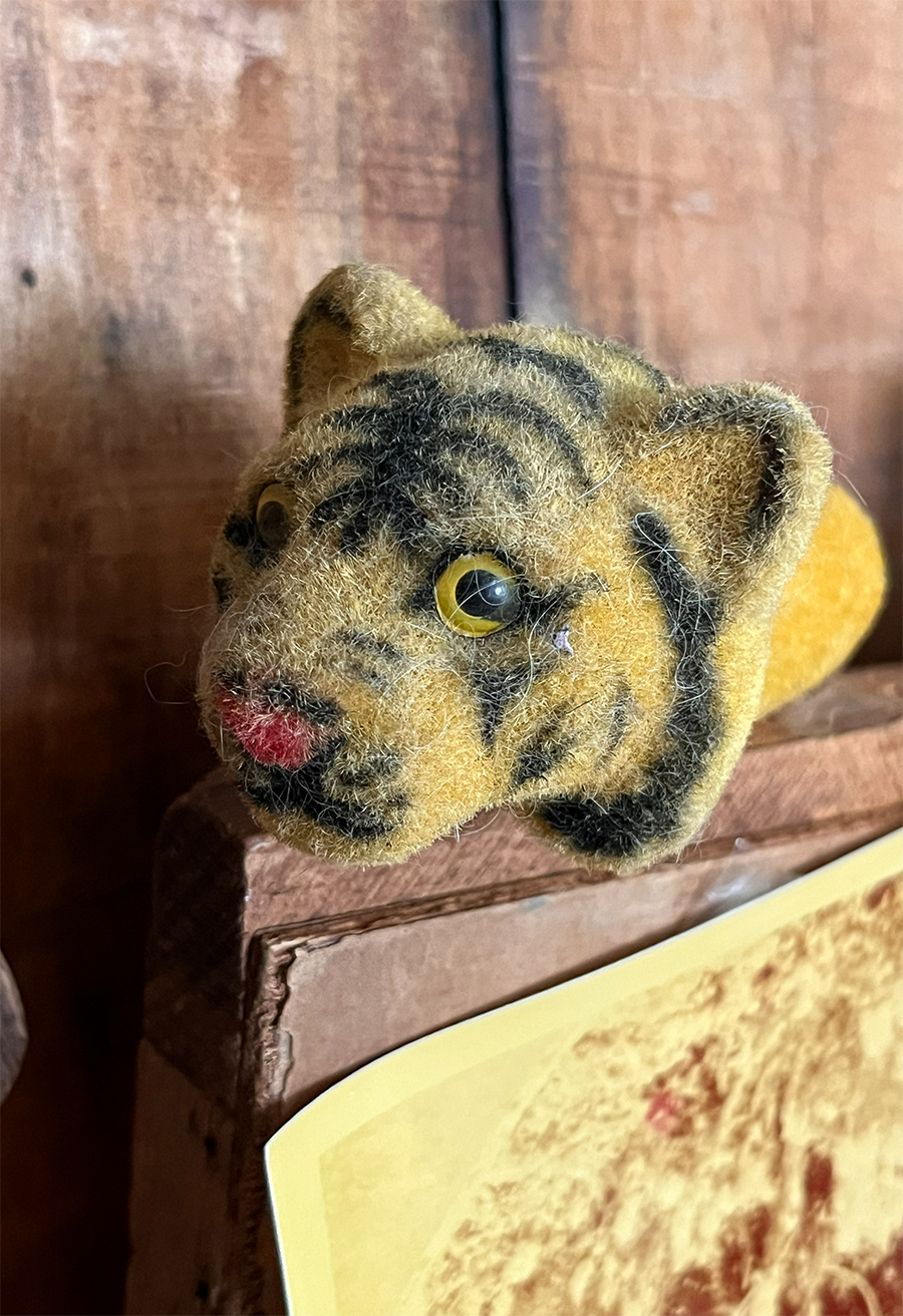 Closeup of a flocked lion head doll with pierecing eyes.