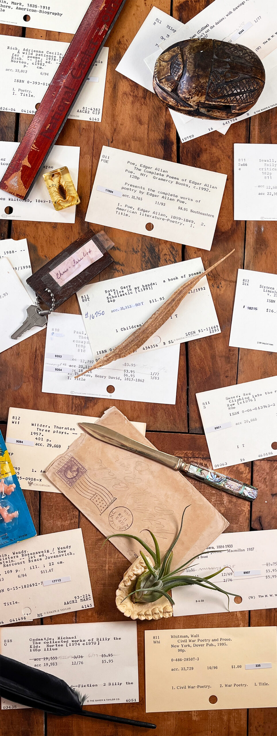 Vintage library card catalog cards scattered across a warm wood surface with a carved scarab paperweight, small key tag, aged envelope and paper knife, handwritten ledger page, amber-encased scorpion, and an air plant set in a tooth mold.