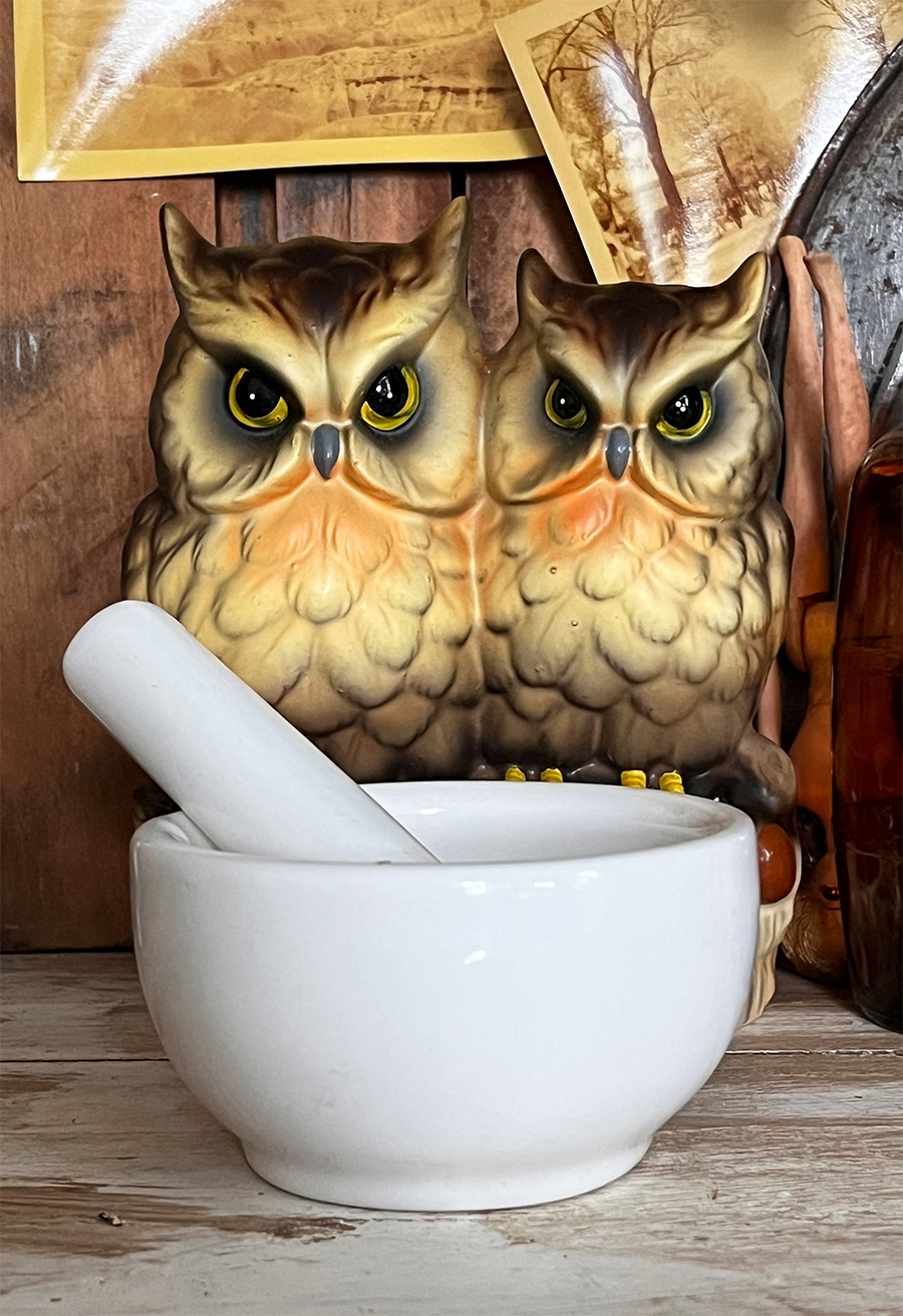 Closeup of two owls a vintage ceramic with a white stone mortar and pestle in front and a hint of a doll upside down with one eye staring in the background.