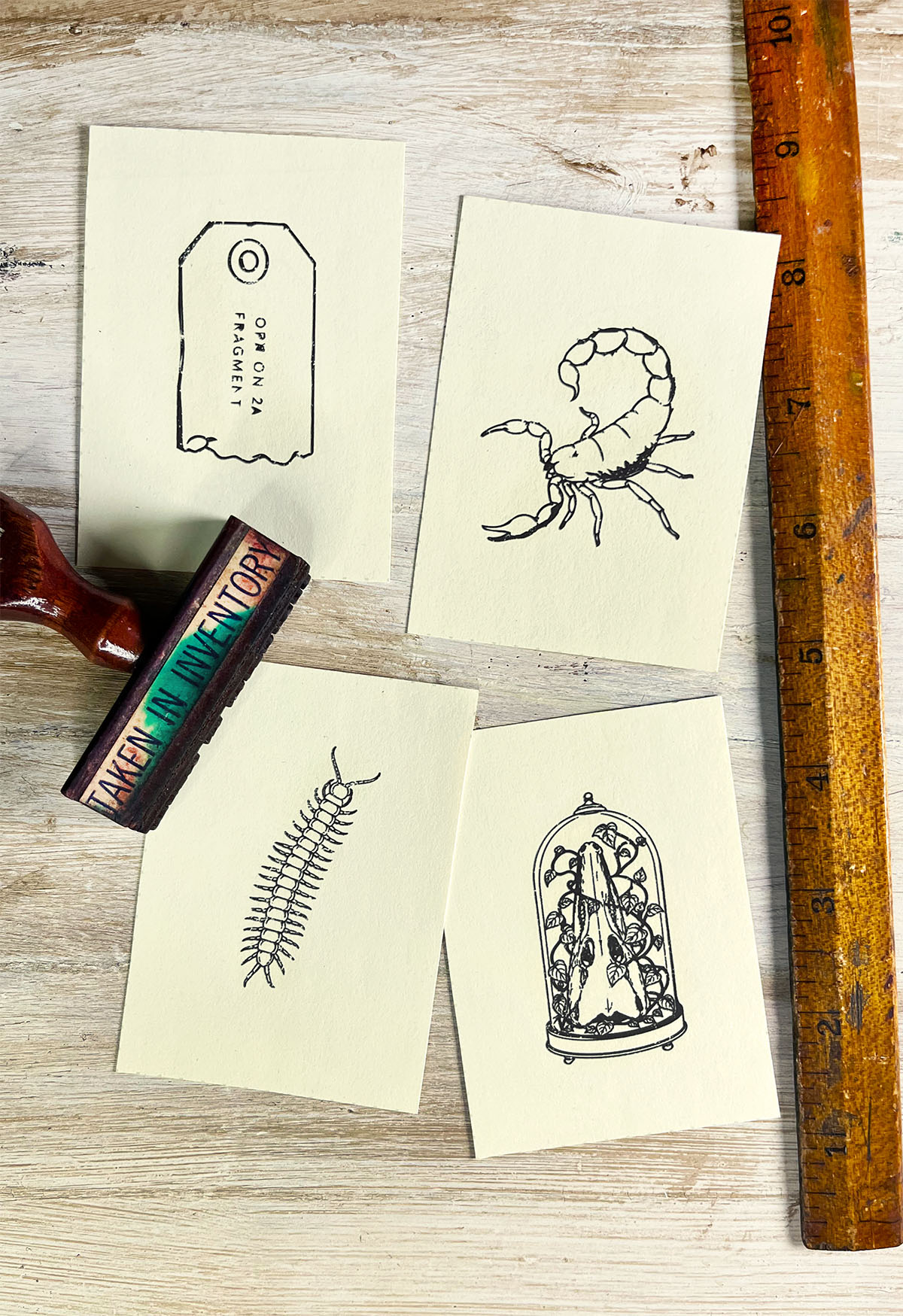 Photo of four printable curiosity cards free to download and print shown on a white wash table. There is a specimen tag, scorpion, centerpiede and a aligate skull and vines in a dome cloche.