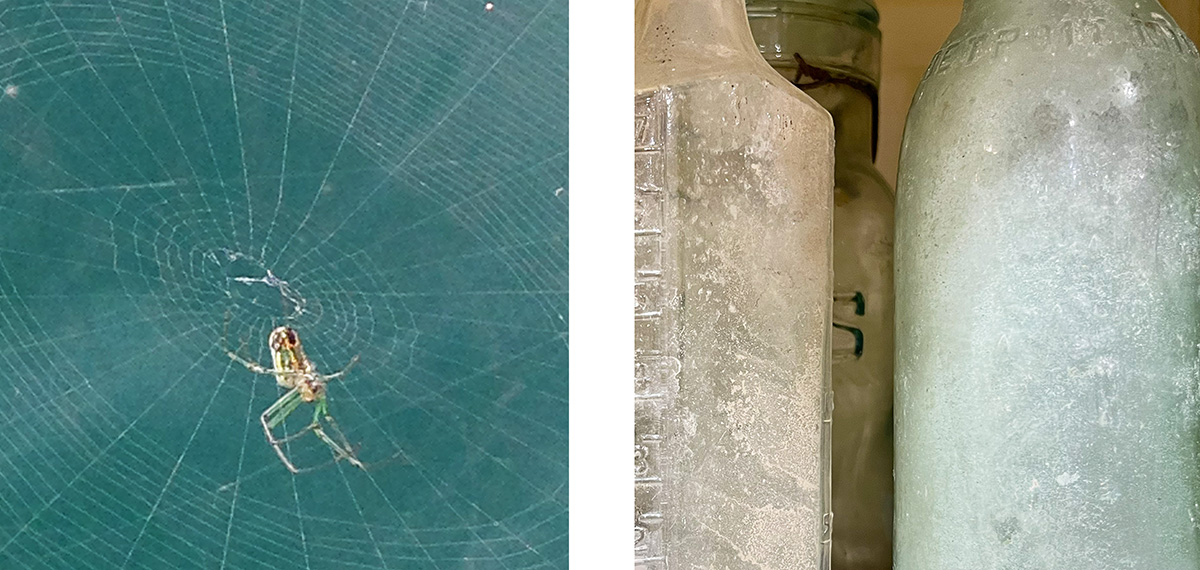 Left image (spider web): Small spider resting in the center of a delicate web against a soft blue-green background. Right image (glass bottles): Collection of weathered aqua and clear vintage glass bottles with worn, frosted surfaces.