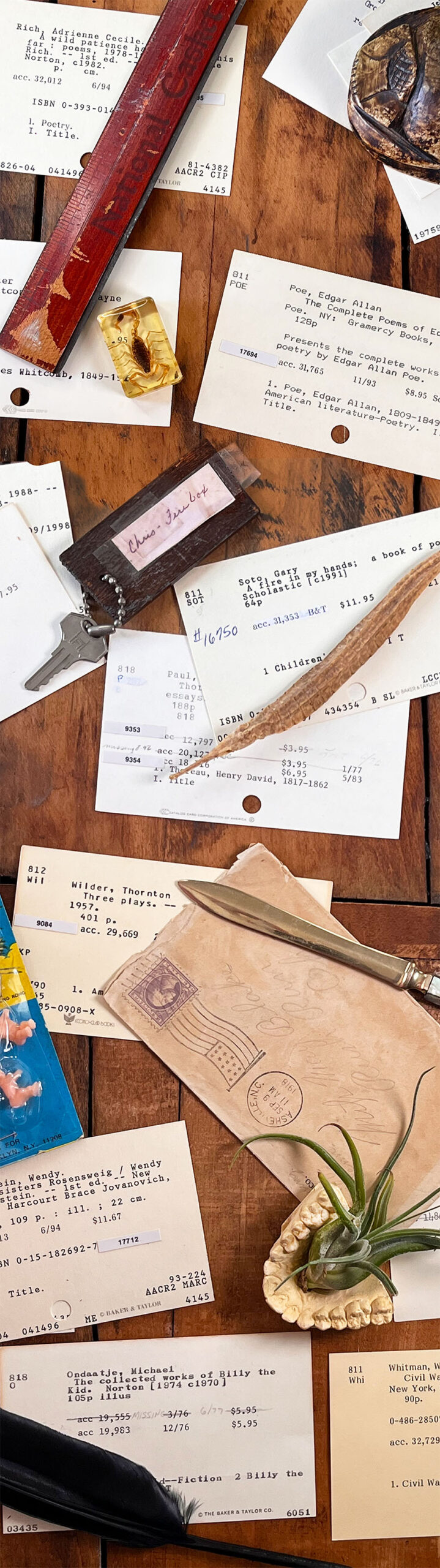 Vintage library card catalog cards scattered across a warm wood surface with a carved scarab paperweight, small key tag, aged envelope and paper knife, handwritten ledger page, amber-encased scorpion, and an air plant set in a tooth mold.
