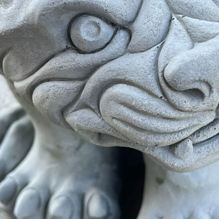 Close-up of a carved stone gargoyle showing one eye, curled brow, and sculpted facial details.