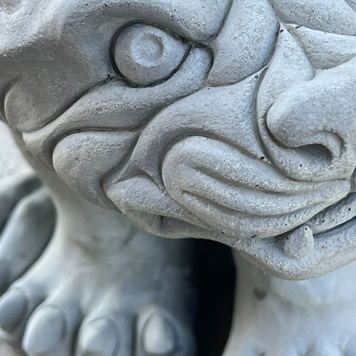 Close-up of a carved stone gargoyle showing one eye, curled brow, and sculpted facial details.