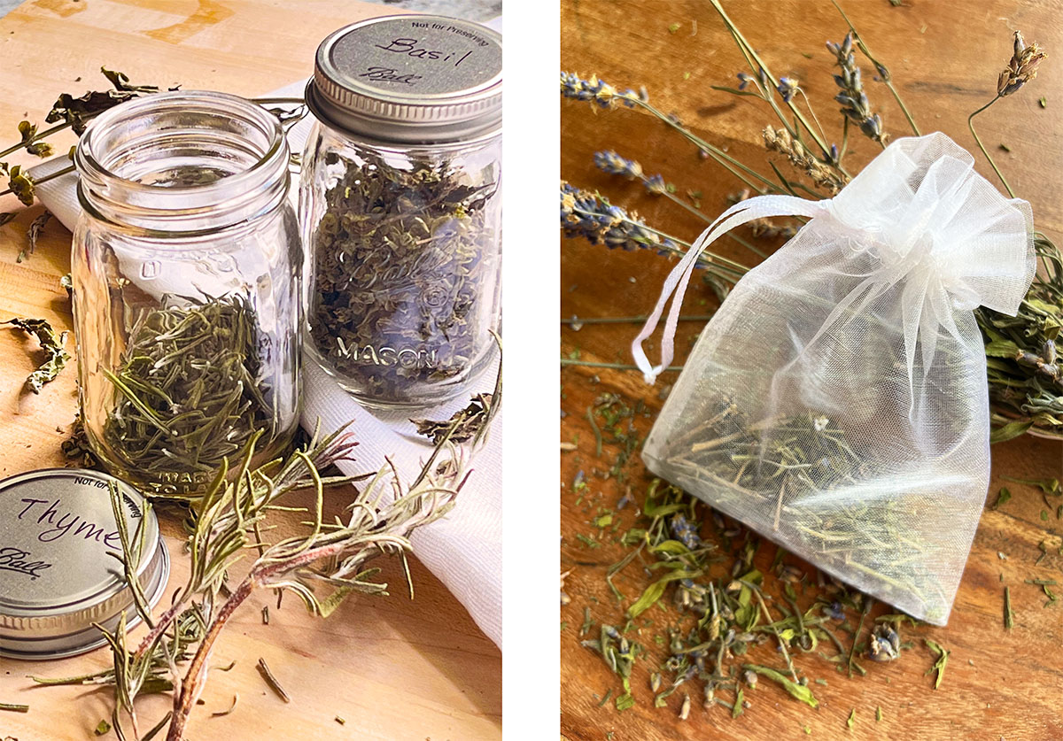 Two side by side vertical saving them in mini ball jars (basil and thyme) after drying and making sachets from dried lavendar.