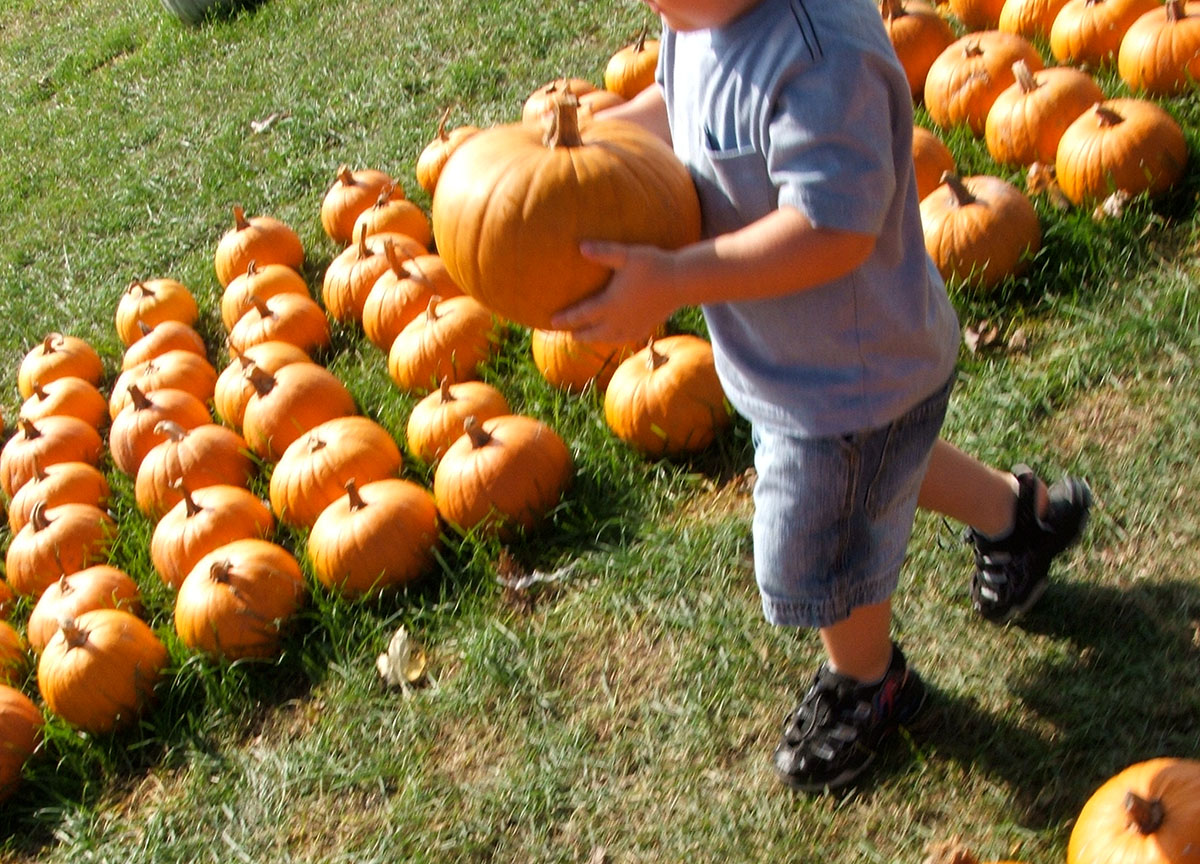 Pumpkin patch and my son picking his pumpkin for the season.